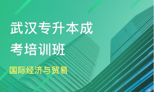 武漢成考專升本國際貿(mào)易與經(jīng)濟(jì)專業(yè)選擇指南 領(lǐng)航時(shí)代與淘學(xué)培訓(xùn)深度解析